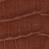 Brown Crocodile (Коричневый Крокодил)